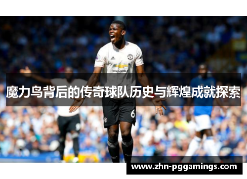 魔力鸟背后的传奇球队历史与辉煌成就探索