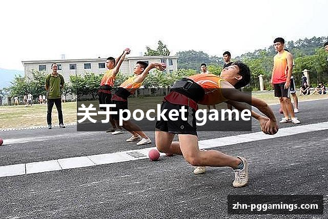 关于pocket game